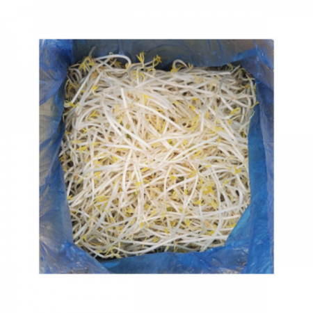 숙주나물(굵은것/중국산)3.5kg