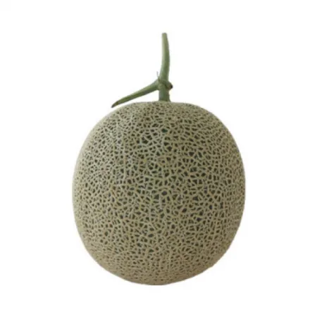 머스크메론(상품/4과/국산)8kg