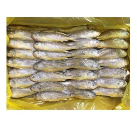 참조기(냉동/70g~90g/중국)1마리