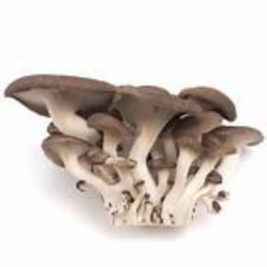 느타리버섯(찹찹이/국산)100g 이미지