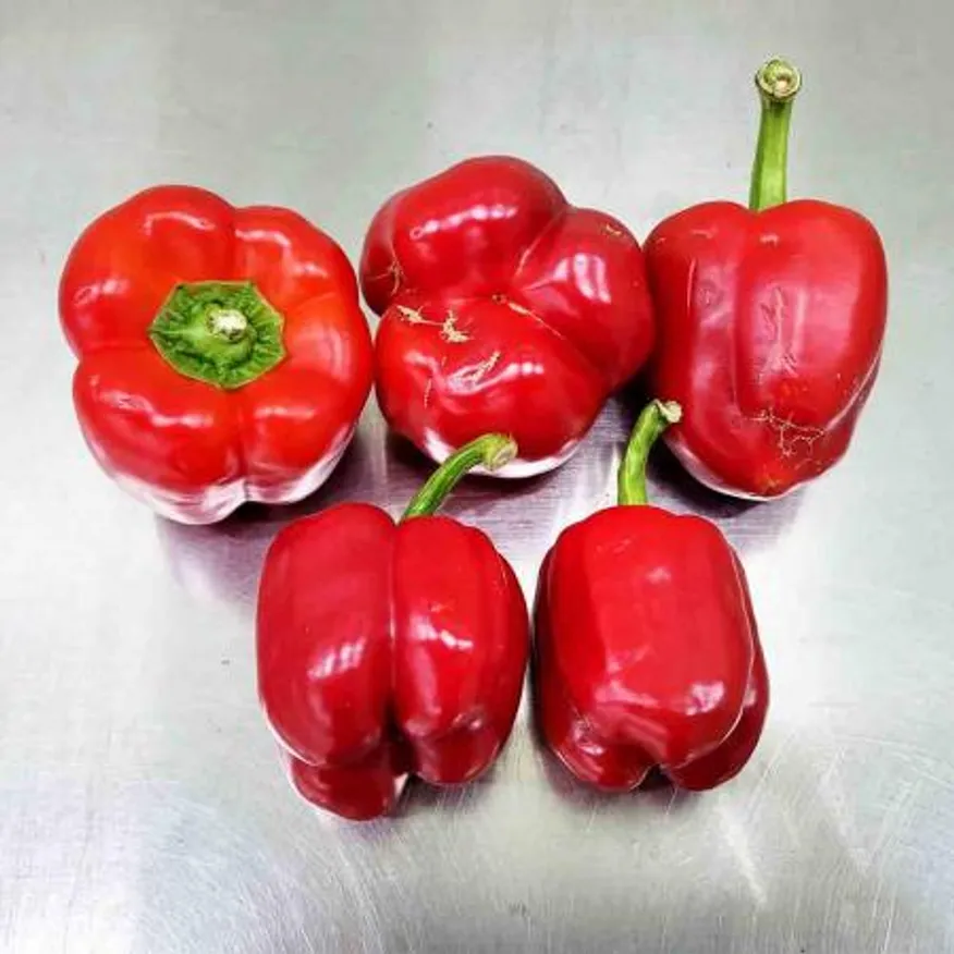 ★하늘농원★ 못난이 파프리카(빨강) 5kg 국내산 이미지