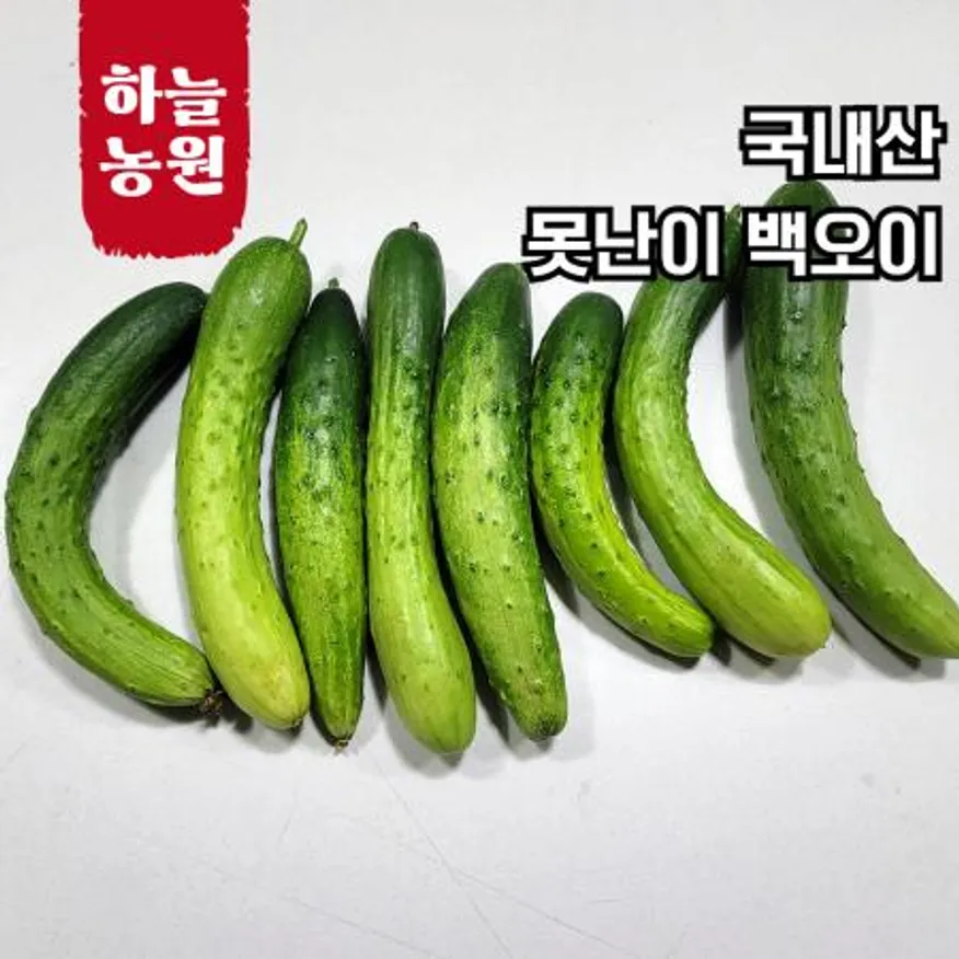 ★하늘농원★ 못난이 백오이 10kg 국내산 이미지