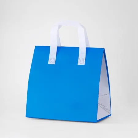 [JS] 보냉 보온 쇼핑백(블루/4호_26x26x17) 100개
