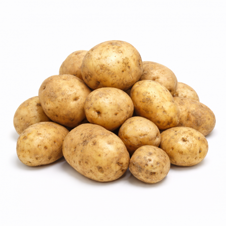 [싱싱야채소]국내산 25년 신선 감자10kg (특)