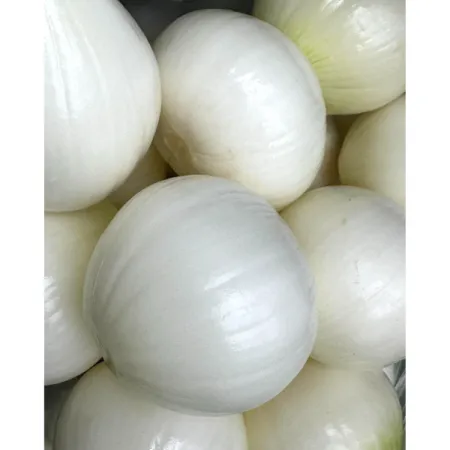 [싱싱야채소]식당추천 국내산100% 최저가 깐양파10kg (중) 이미지