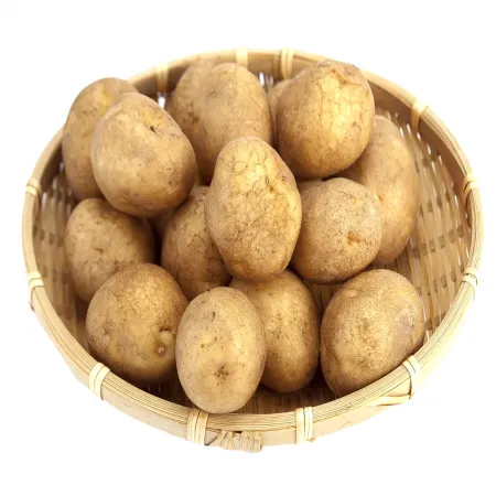 [싱싱야채소]국내산 26년 신선 햇감자10kg (중) 이미지