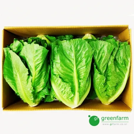 통로메인  통상추(1.8kg - 2kg) 박스, 박스판매