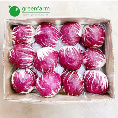 라디치오 12통(약4.8kg)