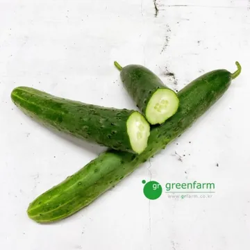 청오이 1개약200g)