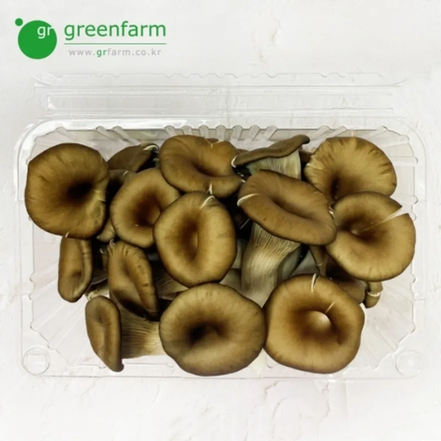 느타리버섯 500g 이미지