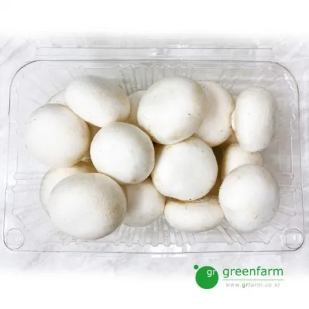양송이 500g