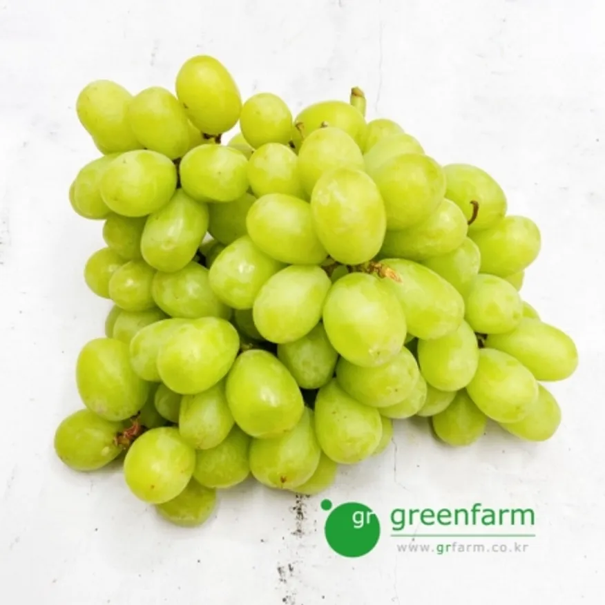 청포도 1kg 이미지