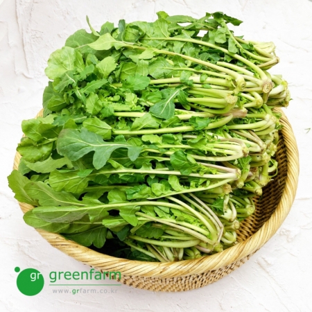 루꼴라 로켓 샐러드 아루굴라(arugula) 1kg