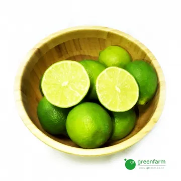 생 라임 3kg (약30-36개)