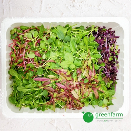 베이비채소(어린순) 1kg 여린잎 어린순 새싹채소