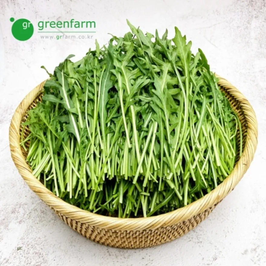 와일드루꼴라 1kg 이미지