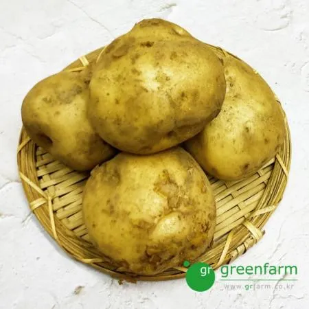 감자 1kg (4~5개)