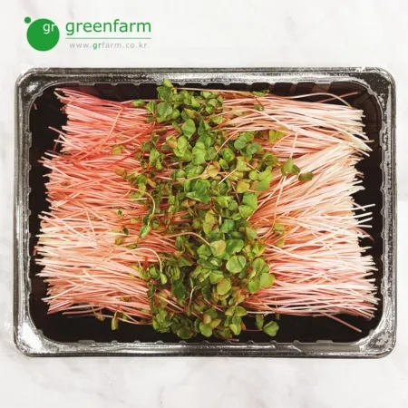 적메밀순 1팩(500g)