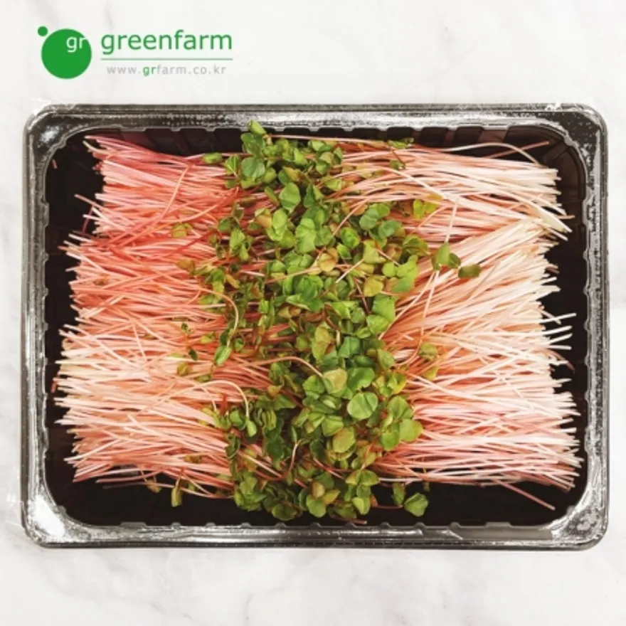 적메밀순 1팩(500g) 이미지