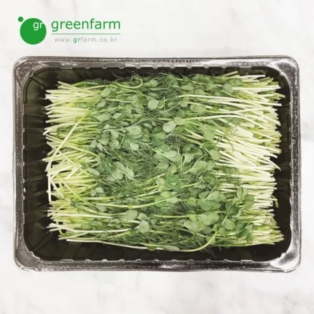 완두순 1팩(500g)