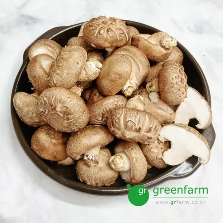 표고버섯 500g