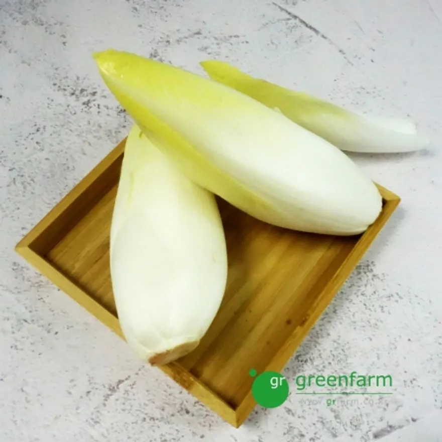 앤다이브 1통(약140g) 이미지