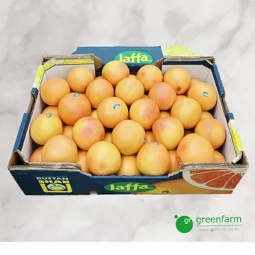 자몽 한박스(40개내외)