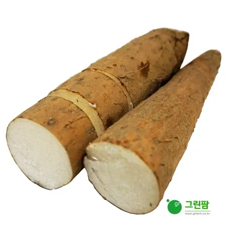 마(약500g)