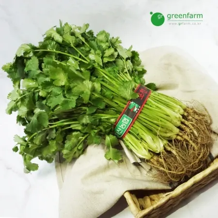 고수(향채) 1단 300g