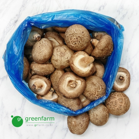 표고버섯 2kg 박스