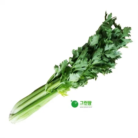 샐러리 1단 (약 700g)