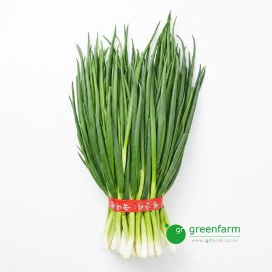 깐쪽파 1kg 이미지
