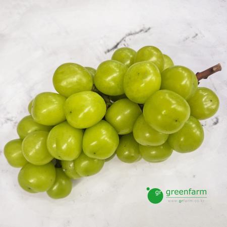 샤인머스켓 (약700g)