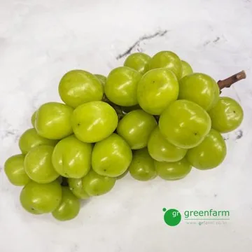 샤인머스켓 (약700g)