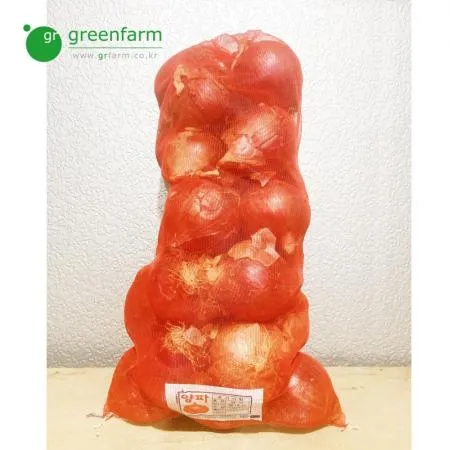 적양파 10kg - 햇양파