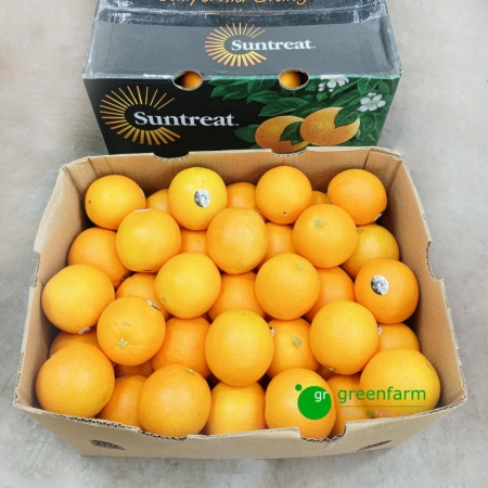 오렌지 한박스 (88과 내외)