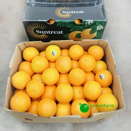 오렌지 한박스(88과)