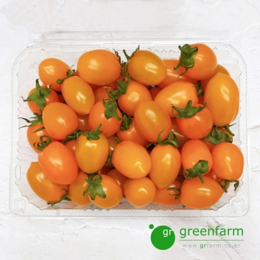 주황 대추토마토1팩(750g) 이미지