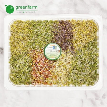 모듬새싹 1팩(500g)