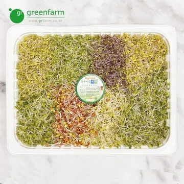 모듬새싹 1팩(500g)