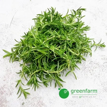 로즈마리 100g  생잎 생로즈마리 허브