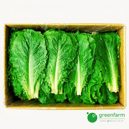 잎로메인  상추(1.8kg - 2kg) 박스