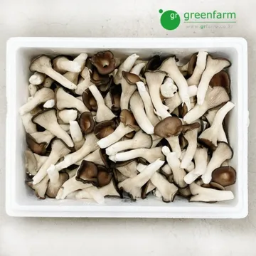 느타리박스(2kg)