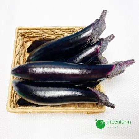 가지 10개(약1.5kg)