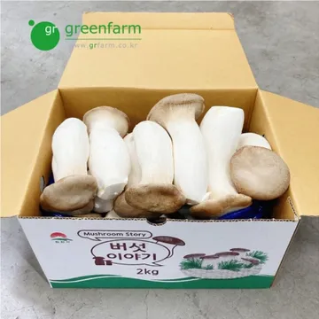 새송이박스(2kg)