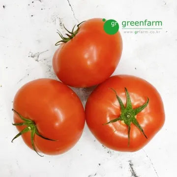 완숙토마토 3개(600g)