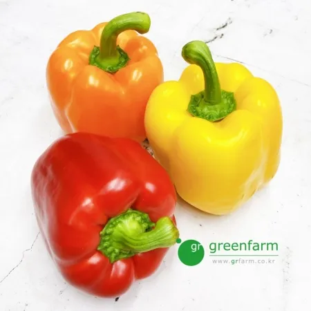 3색 파프리카 (개, 약 550g)