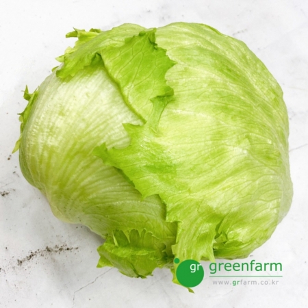양상추 1통 - (약 400g)