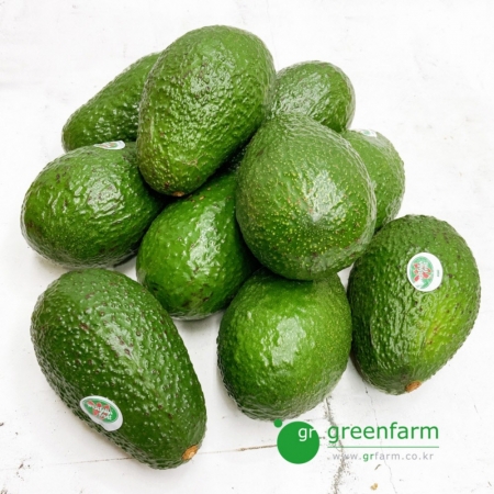 아보카도 10개(약2kg) 칠레산