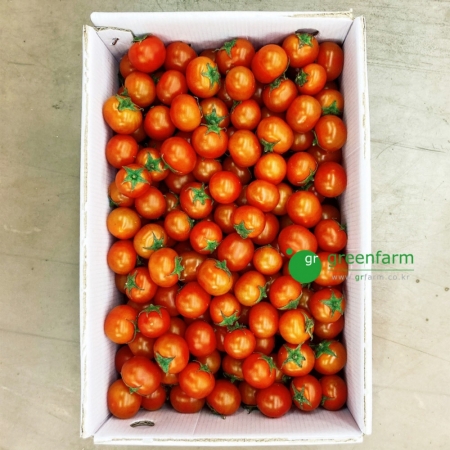 방울토마토 1box (5kg, 2~3번과)